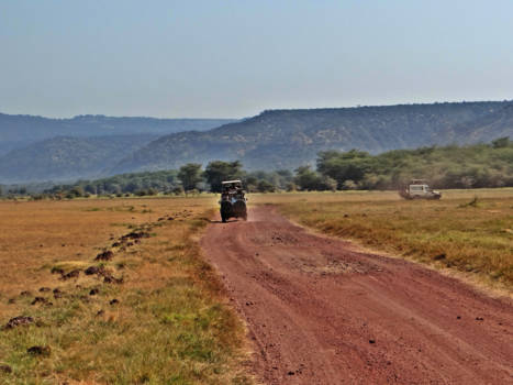 Ngorongoro krater - A long way to freedom