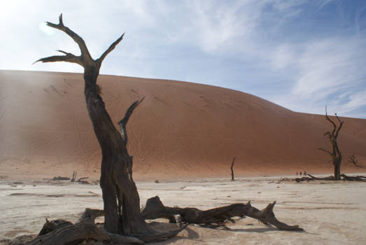 Namibië - Deadvlei