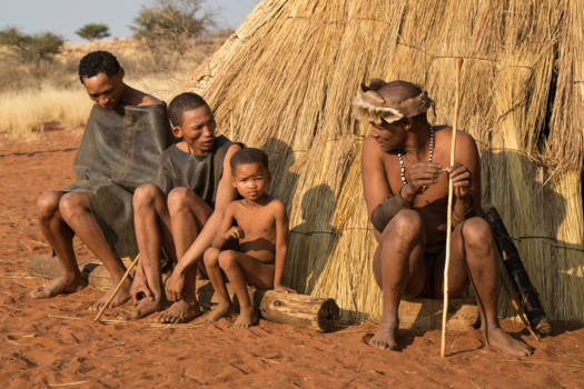 Kalahari woestijn - Bushmen in the Kalahari