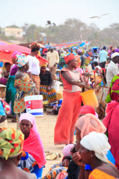 Gambia - Vismarkt.