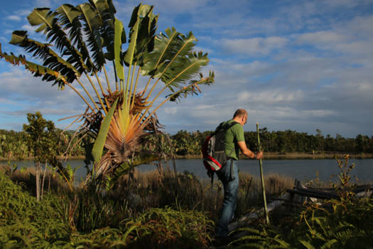 Madagaskar - wandeling in Palmarium