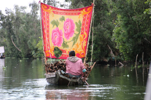 Madagaskar - In canal de Pangales