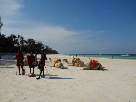 Malindi en Mombasa - Masai in Kenia