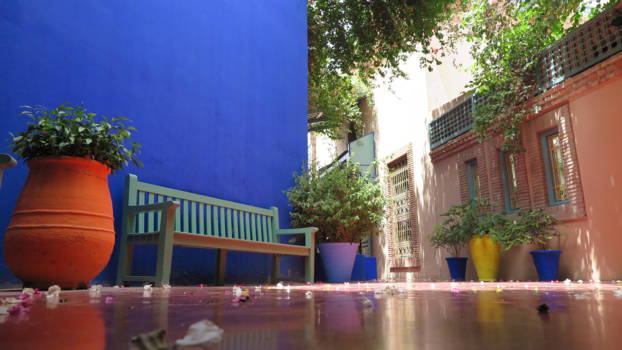 Marokko - Flower with