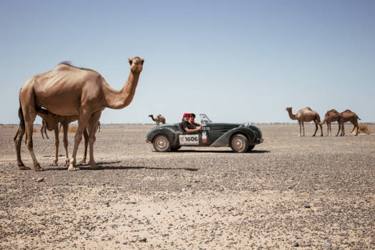 Marrakesh - Jongensdroom