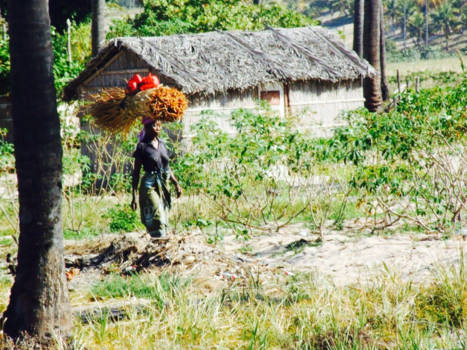 Mozambique - Femme Fatale