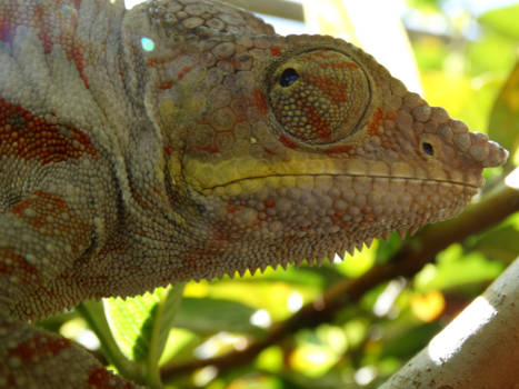 Madagaskar - Gewoon en toch bijzonder