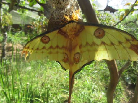 Madagaskar - Stoer toch?