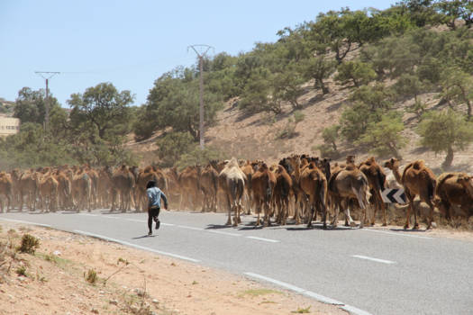 Marokko - Along the road