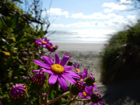 Queen Elizabeth National Park - Dreaming...