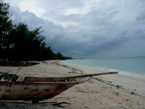 Stranden van Zanzibar - Tropisch buitje van 10 minuten op komst bij Kiwengwa