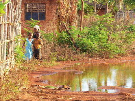 Stone Town Zanzibar - Makunduchi Village