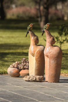 Botswana - Poserende bijeneters