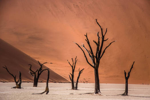 Sossusvlei - Muur van zand