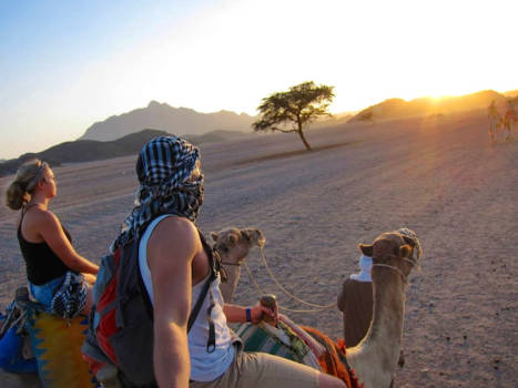 Egypte - 'Destination unknown'- Marsa Alam