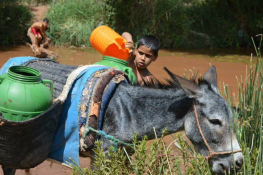 Marrakesh - Wandeling door het Atlasgebergte