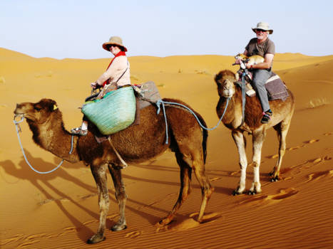 Marokko - op stap door de woestijn