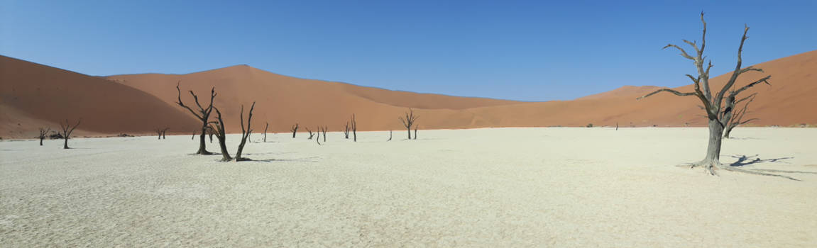 Namibië - Deatvlei