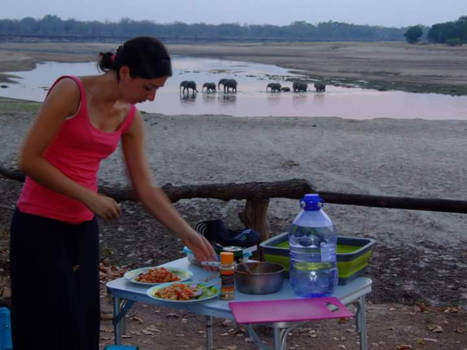 Zambia - Wil je net gaan eten... heb je die olifanten weer!
