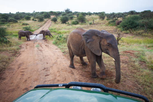 Kenia - Buiten Spelen