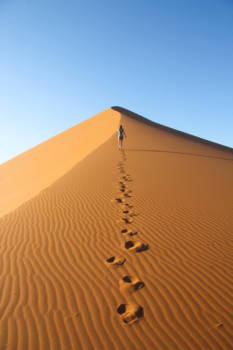 Namib-Naukluft National Park - Footprints