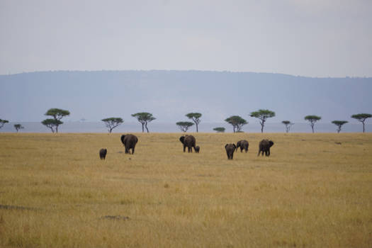 Tanzania - The most beautiful moment of our life! Part of nature!