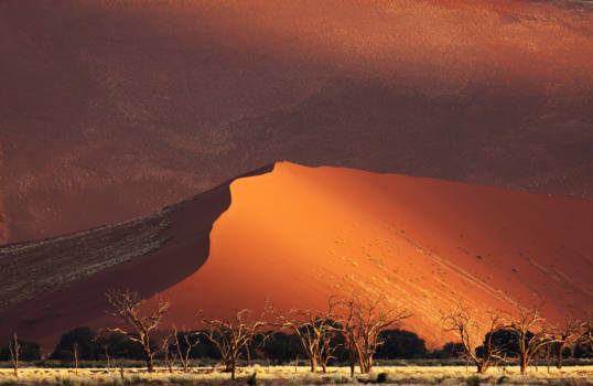 Sossusvlei - Spotlight