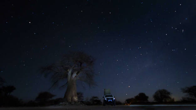 Botswana - Great baobab under the stars