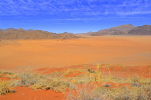Namib-Naukluft National Park - Beauty of the Namib Desert