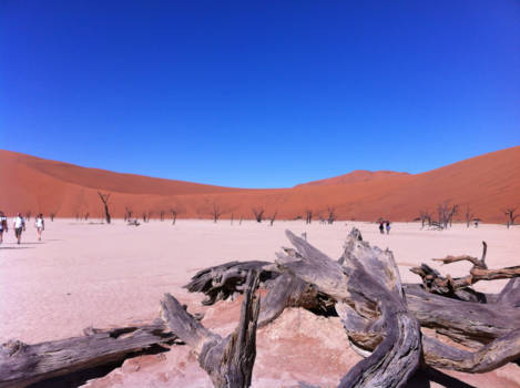 Namibië - Deadvlei