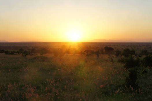 Kenia - African Sundowners