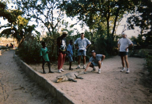 Gambia - Krokodillen aaien