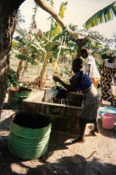 Gambia - Sinaasappel plantage