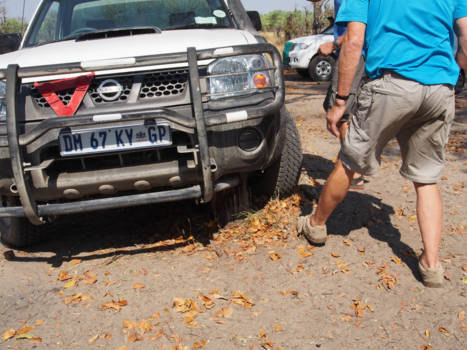 Moremi Game Reserve - Wat nu !!!