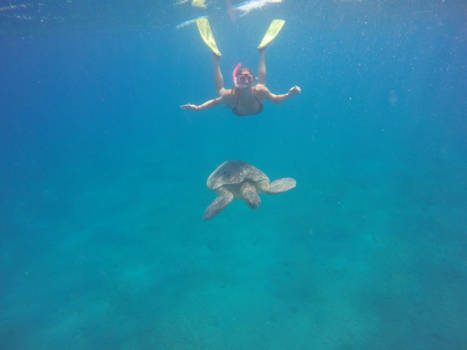 Egypte - Parachute springen met een schildpad ;)