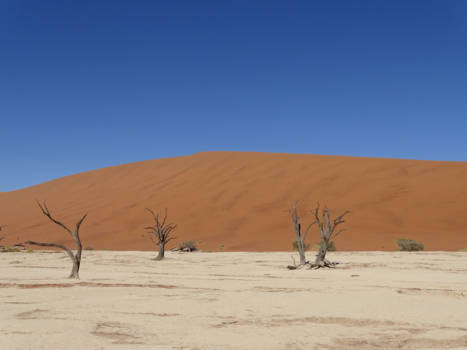 Namibië - Deadvlei