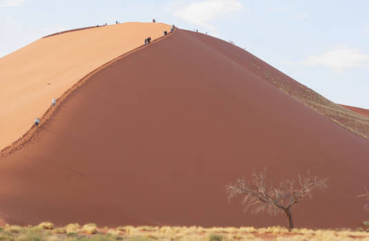 Namibië - Dune 24 in de Sossusvlei