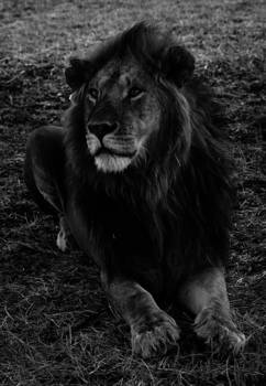 Tarangire National Park - Awesome