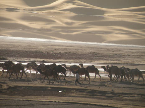 Merzouga - vroeg in de ochtend na zonsopkomst boven de zandduinen van Merzougha