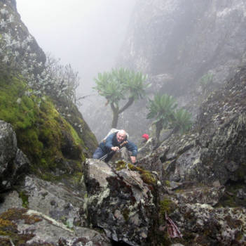Oeganda - rwenzori N.P.