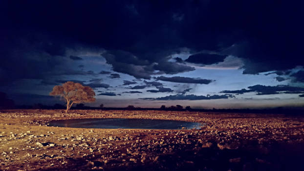 Etosha National Park - Waterhole..