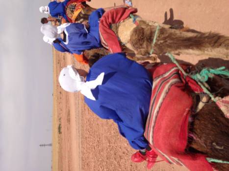 Marrakesh - Woestijnschip