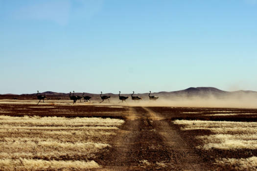 Damaraland - Intercity naar Swakopmund!