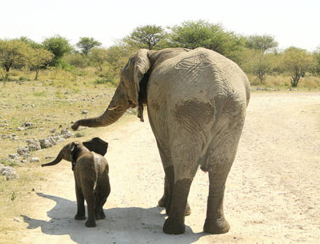 Namibië - Goodbye !!