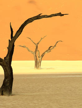 Namibië - Namibië Soussusvlei