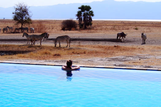 Tarangire National Park - De wereld is mooi..