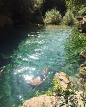 Marokko - The freedom