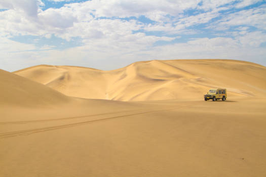 Swakopmund - Living Desert Tour