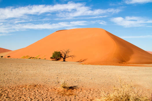 Sossusvlei - Dune 45
