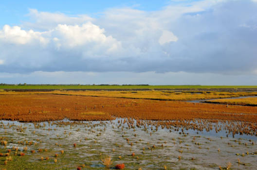 Bwindi Impenetrable National Park - Terschelling het wad